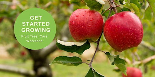 Get Started Growing  - Fruit Tree Care & Harvesting