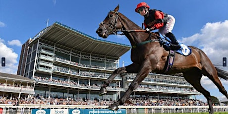 York Ebor Festival Hospitality - Dante Suite - 2024