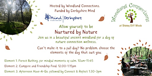 Be Nurtured by Nature - Woodland Well-being for adults primary image