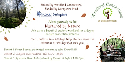 Imagem principal de Be Nurtured by Nature - Woodland Well-being for adults