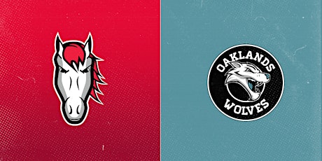 Leicester Riders Women's v Oaklands Wolves - 2nd March primary image