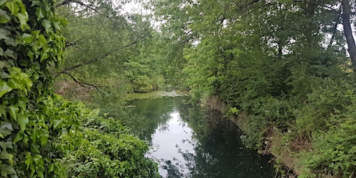 Primaire afbeelding van London Rivers Week Guided Walk