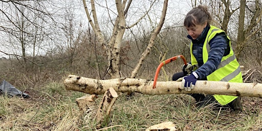 Primaire afbeelding van Volunteer day: hands-on conservation in Epping Forest (Women* only)