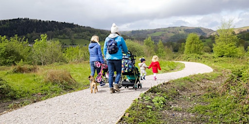 Imagen principal de Guided walk to  Wenffrwd Nature Reserve  and the Old Railway with an AONB Ranger