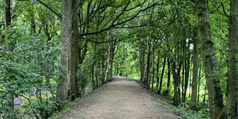 Imagem principal do evento Nature Netwalking - Leeds - RSPB St Aiden's