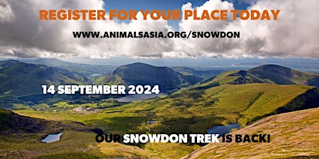 Trek Snowdon with Animals Asia 2024