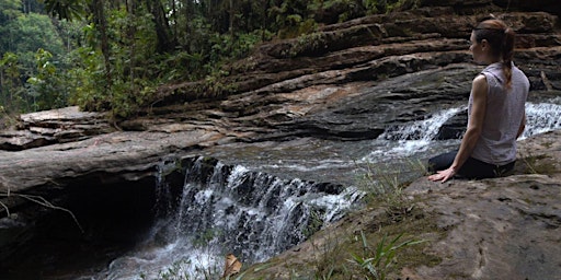 9 días de retiro con uso de Ayahuasca en Mocoa, Colombia  primärbild