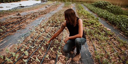 Imagen principal de Build an Herbal Container Garden with Spore and Seed