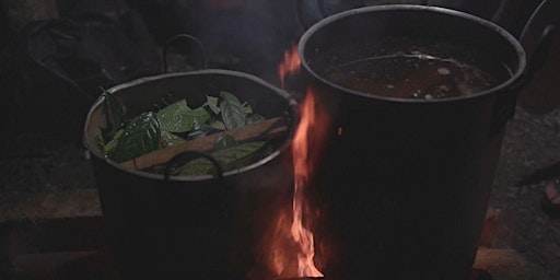 Imagen principal de 9 días de retiro con uso de Ayahuasca en Mocoa, Colombia