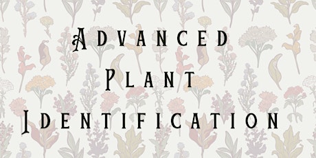 Advanced Plant Identification - 4-Part Series primary image