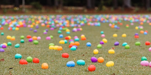 Imagen principal de Eggstravaganza 2024