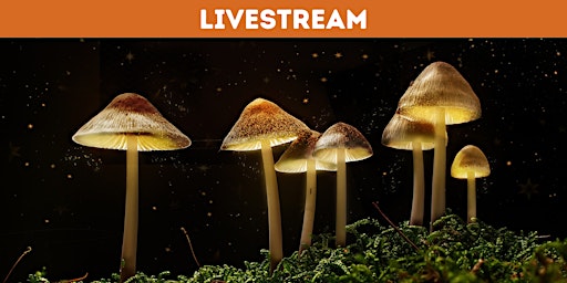The Science of Magic Mushrooms with Dr. David Luke [ONLINE] primary image
