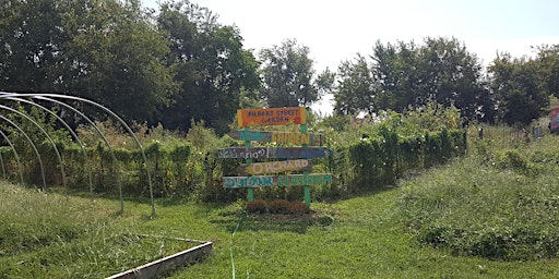 Urban Veggie Gardening 101 primary image