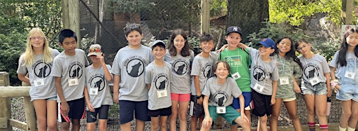 Collection image for Gray Wolves: Ages 9-12