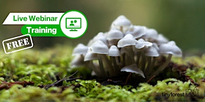 Imagem principal do evento Training webinar: Fantastic Fungi! (Tiny Forest in Action)
