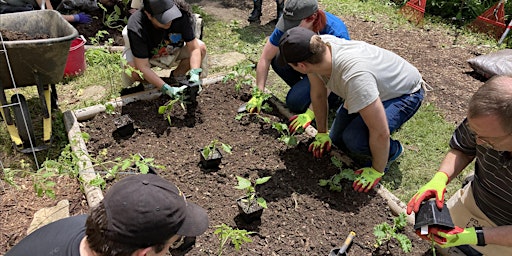 Home Gardening 101 with Lynn Lorio primary image