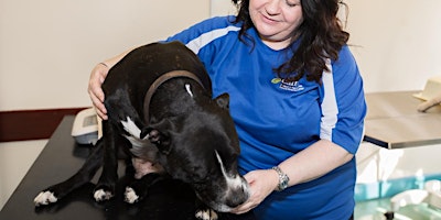 Imagem principal de Veterinary Nursing Thursday 11th April, 12pm, 2pm, 4pm, 6pm