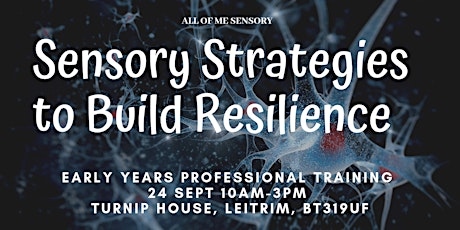 September Sensory Strategies to Build Resilience in the Early Years primary image