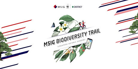 Discover our natural wonders at the MSIG Biodiversity Trail primary image