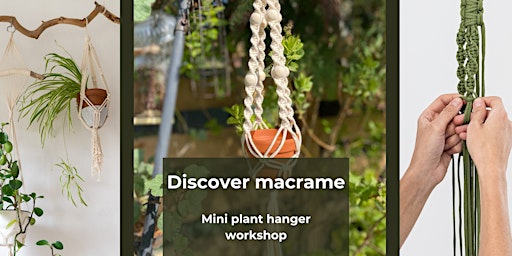 Discover Macrame primary image