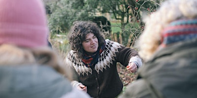 Primaire afbeelding van Wild Medicine Cabinet: Winter Medicine Making