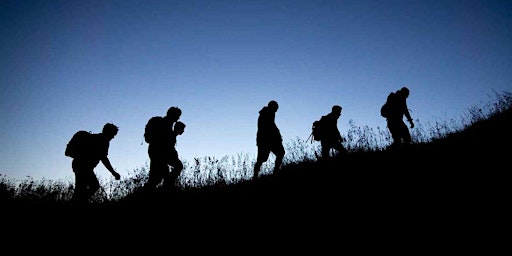 Hauptbild für Night Walk: Nocturnal Wonders