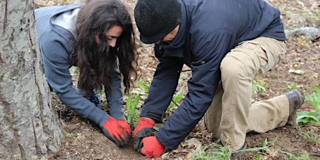 Oak Glen Preserve Volunteer Day