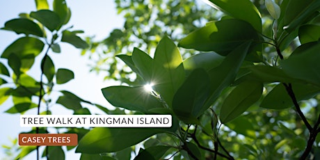 Spring Back to Kingman Island: Tree Series primary image