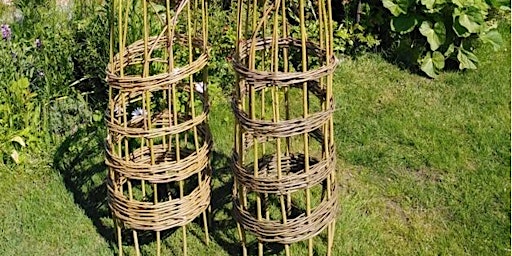 Immagine principale di Weave a willow plant support RLF ERC 2806 