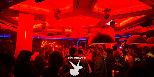 Imagem principal de The Afro Love Xperience (Valentines Weekend W/ Open Bar)