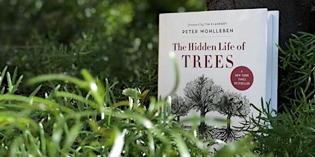 Hauptbild für Book Club: "The Hidden Life of Trees" by Peter Wohlleben