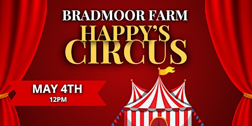 Imagen principal de Happy's Circus