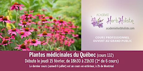 Hauptbild für Plantes médicinales du Québec (Cours 132)