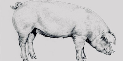 Whole Hog Butchery Workshop primary image