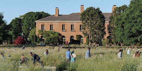 Imagem principal de IN A LANDSCAPE: Filoli Historic House & Garden