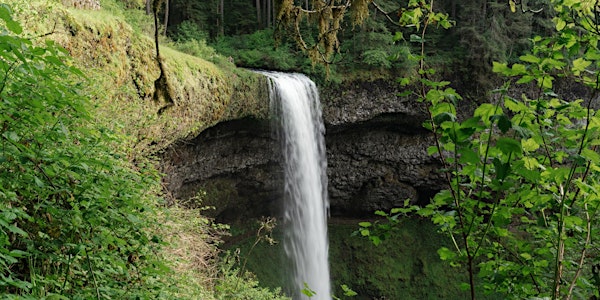 **SOLD OUT**  IN A LANDSCAPE: Silver Falls State Park