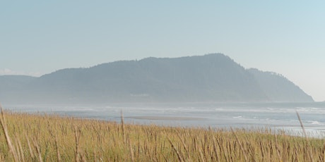 IN A LANDSCAPE: Dunes Meadow Park