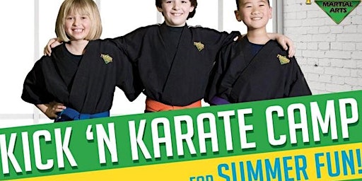 Primaire afbeelding van Karate Day Camp!