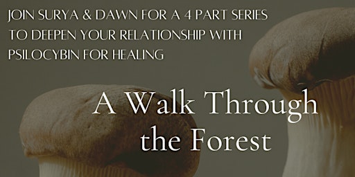 Imagem principal do evento A walk through the forest: a four part psilocybin therapy series