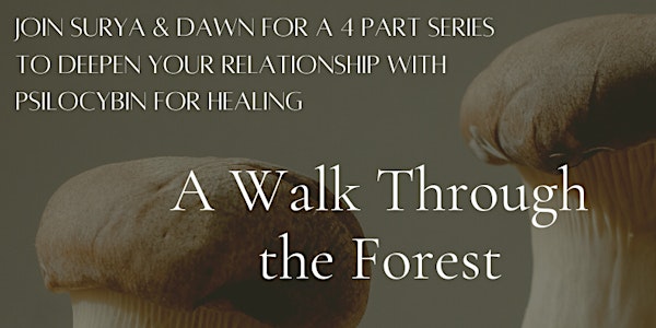 A walk through the forest: a four part psilocybin therapy series