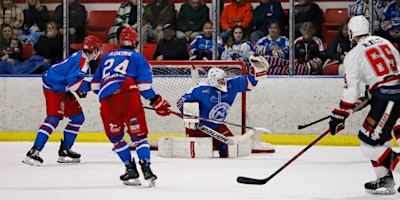 Newcastle Northstars - Ladies Day primary image