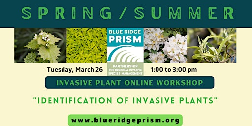 Imagem principal do evento Spring/Summer Invasive Plant Workshop 2024: Identification (Zoom)