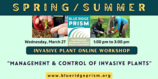 Imagem principal do evento Spring/Summer Invasive Plant Workshop 2024: Management and Control (Zoom)