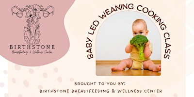 Baby Led Weaning Cooking Class primary image