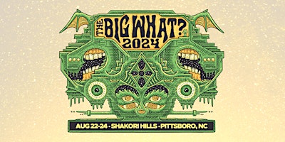Imagem principal de The Big What? 2024