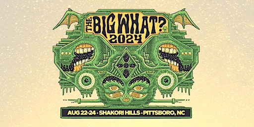 Imagen principal de The Big What? 2024