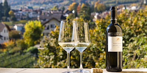 White wines of Italy - Masterclass primary image