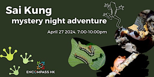 Imagem principal do evento Sai Kung mystery night adventure