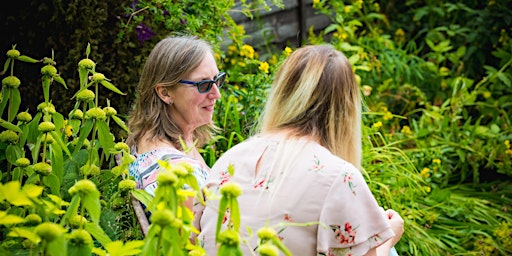 Mindfulness Taster Session