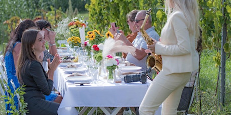 Lunch in the Vineyard French Riviera